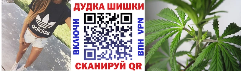 Марихуана сатива  Ильский 